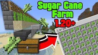 How to Make Easy Automatic Sugar Cane Farm Minecraft 1.20 |  Java & Bedrock Edition