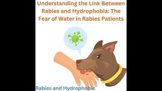 Understanding the Link Between Rabies and Hydrophobia The Fear of Water in Rabies Patients