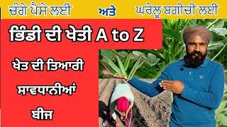 ਭਿੰਡੀ ਦੀ ਖੇਤੀ | Bhindi ki kheti | Ageti bhindi ki kheti | Okra farming | Sabji ki kheti