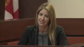 Dan Markel murder: Wendi Adelson, Markel's ex-wife, testifies