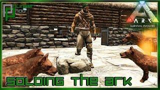 BACK TO THE ISLAND - HYAENODON BREEDING - QUEEN BEE TAMING - Soloing the Ark S5E23