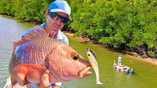 How To Catch Mangrove Jack All Day Long - Tips and Lure Choices