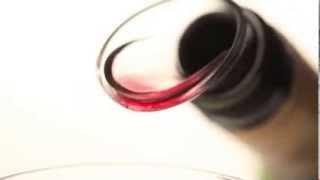 QTOO | WINE SERVER Şarap Servis Aparatı