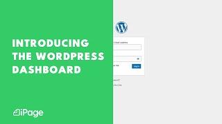 Introducing The WordPress Dashboard