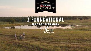 Smith Kennel Training: 3 Foundational Bird Dog Behaviors