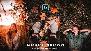 Free Moody Brown Premium Lightroom Preset | Easy Editing | Photofreak Guy