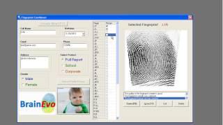 DMIT Fingerprint Analysis - Multiple Intelligences Test