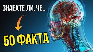 50 СТРАННИ ФАКТА ЗА ЧОВЕШКОТО ТЯЛО!