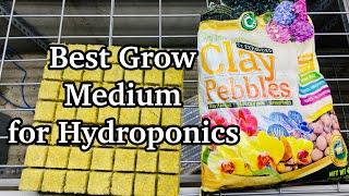 Best Growing Medium for Hydroponics