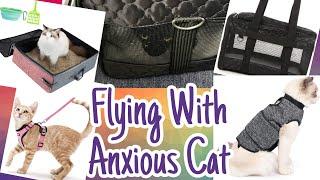 Flying Cross Country With an Anxious Cat | Tiffany Arielle