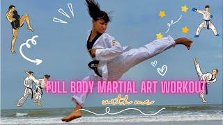 Full Body Martial Art Workout  l Beginner friendly with stretches