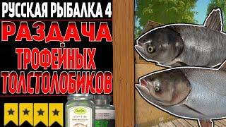 РАЗДАЧА ТРОФЕЙНЫХ ТОЛСТОЛОБИКОВ на Р.СУРА ● Русская Рыбалка 4 | РР4