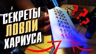 Секреты ловли Хариуса. Как вязать уловистые мушки?