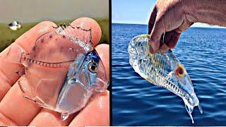 10 MOST TRANSPARENT And INVISIBLE Animals In The World