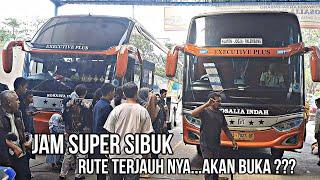 Buka Rute Baru ?? Keluar Masuk Bus Rosalia Indah..Jam Super Sibuk..Meluber Penumpang..Mantap Sekali