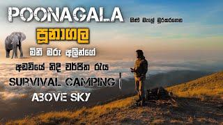 Poonagala survival  නිදි නැති අන්ත්‍රාදායි කදවුරු රාත්‍රිය |Makaldeniya ft.@TravelRonde