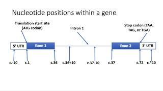 Introduction to Variants and Nomenclature