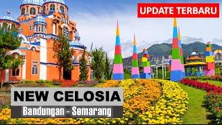 TAMAN BUNGA CELOSIA BANDUNGAN TERBARU | NEW CELOSIA SEMARANG