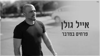 אייל גולן - פרחים במדבר