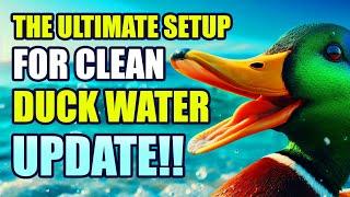 How to DIY Keep Your Duck Pool Clean and Easy to Maintain UPDATE | Plus Important Duck Tips!