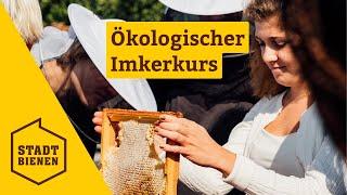 Gib Bienen ein Zuhause! Der Imkerkurs bei Stadtbienen