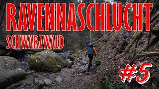 Ravennaschlucht wandern im schwarzwald