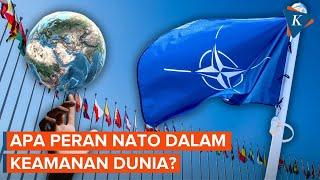Apa itu NATO dan Siapa Saja Anggotanya?