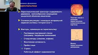 Дифференциальная диагностика основных заболеваний кишечника. Болезни толстой и прямой кишки