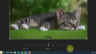 Windows 10 Photo Viewer Tutorial: Mastering Editing Tools & Techniques