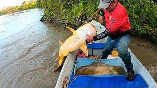 Pescando con carnadas de 1 kilo , pesca con carnadas gigantes.