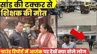 Khandela Bus Stand पर आवारा सांडों का आतंक, ground report में देखें क्या बोली जनता ~ Sikar News