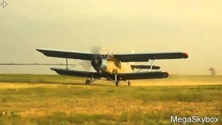 The legend  Antonov An-2 UR-62615