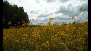 La primavera. Frühling in Deutschland.