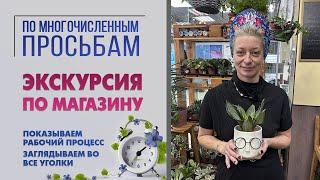 Экскурсия по моему цветочному магазину. Все тайные уголки и закрома. Ведьминский уголок изнутри.