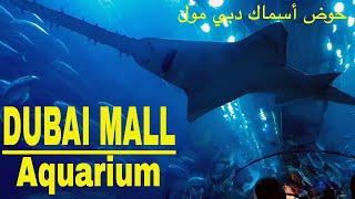 ОАЭ - Аквариум в Дубай молл - The Dubai Mall Aquarium and underwater zoo