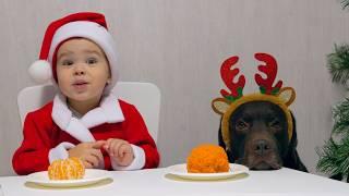 Adorable Baby Santa Feeds His Hungry Dog! Hilarious!