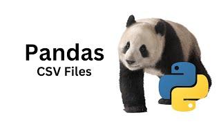 4 Pandas Read CSV