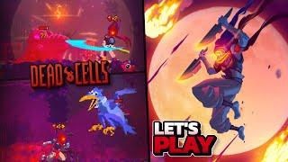 Dead Cells: ME VS CORRUPTED PRISON (I don't know what to expect..)