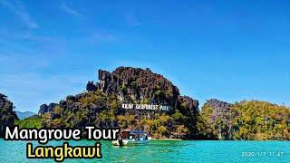 naik boat Mangrove Tour Langkawi , Malaysia 2020 | Kilim Geoforest park | Island Hopping