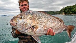 Spearfishing Giant NZ Snapper & Red Crays