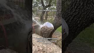 Cleaning the Dolphin Premier Robotic Pool Cleaner Leaf Bag ASMR #asmr #poolcleaning