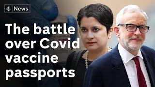 Covid: Group of MPs criticise ‘divisive and discriminatory’ vaccine passports