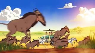 Wildebeest Migration 2D animation