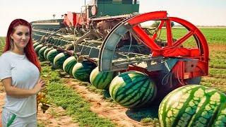 Ver cómo Increíbles máquinas agrícolas modernas y personas que están a otro nivel