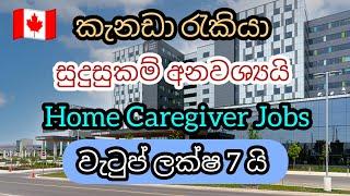 කැනඩා ගෘහ සේවය.වැටුප් ලක්ෂ 7 යි. සුදුසුකම් අනවශ්‍යයි home Caregiver foreign job vacancies in canada