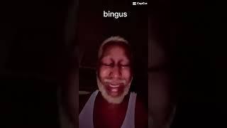 bingus part 2 #gemmy #funny #meme #bingus #cat #edit #laugh #now