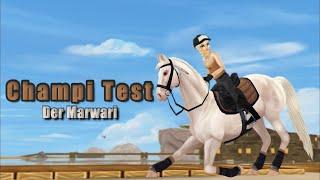 Ist der Marwari nicht Champi tauglich? | Wir finden es (𝓋𝒾ℯ𝓁𝓁ℯ𝒾𝒸𝒽𝓉) heraus! | Star Stable