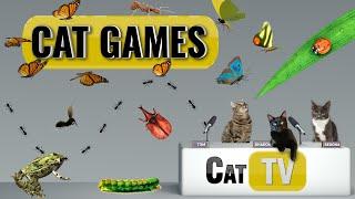 CAT Games | Ultimate Cat TV Bugs and Butterflies Compilation Vol 5 🪲  | Videos For Cats to Watch
