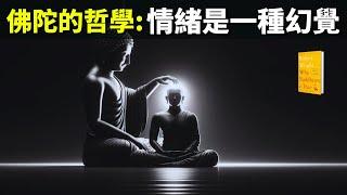 佛陀的哲學:情緒是一種幻覺,用修行治癒精神內耗 | 暢銷書《洞見》解讀(聽書,進化心理學,正念冥想,焦慮,抑鬱症,佛學,人生智慧,無常)