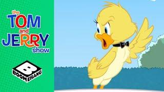 The Talent Show Contest | Tom & Jerry | Boomerang UK